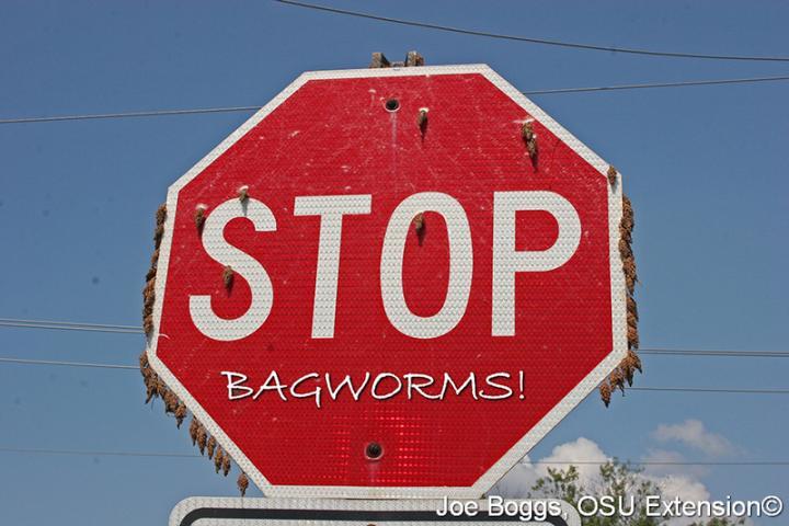 Stop Bagworms sign